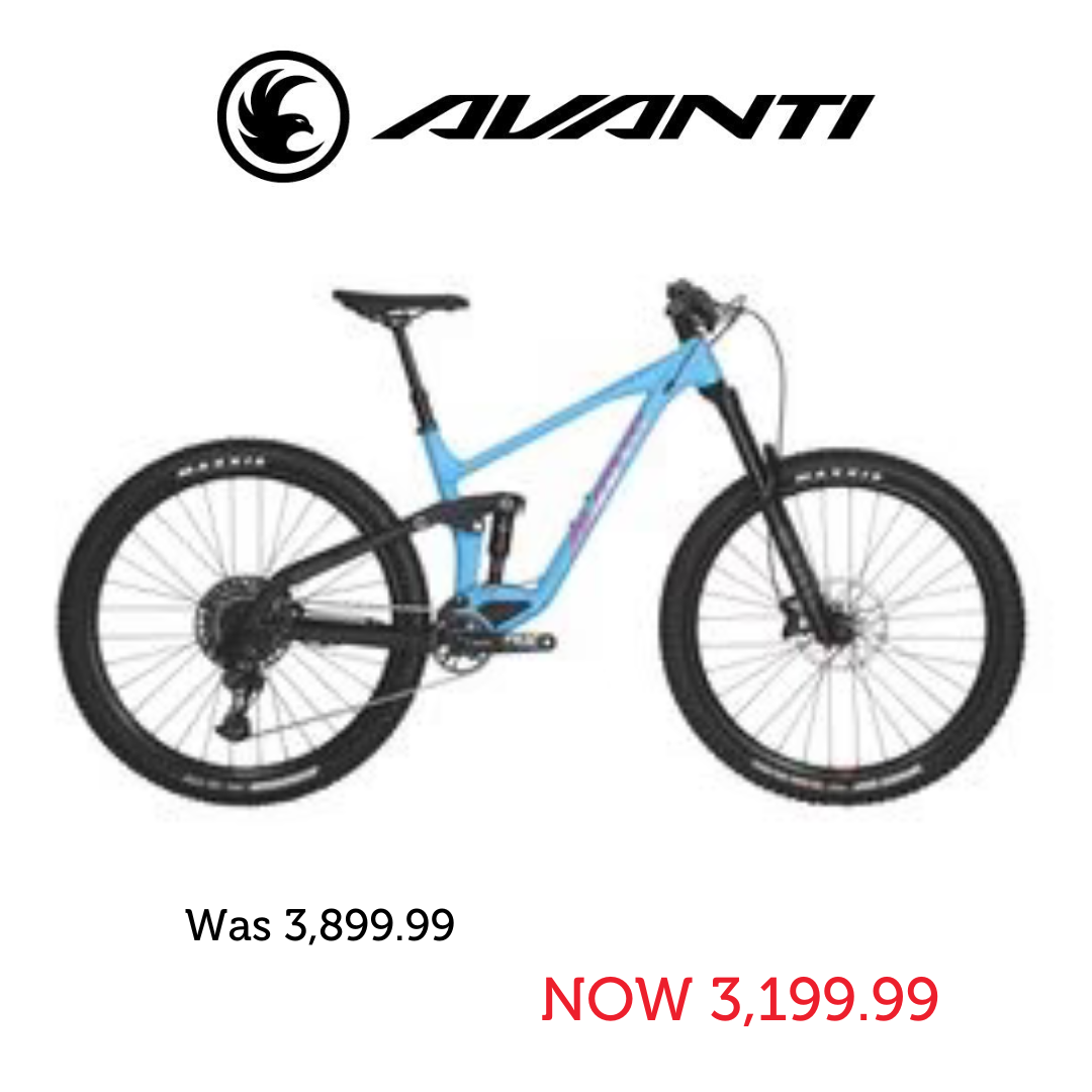 Avanti Bike Bike Frame Size L Avanti Competitor Bike – Outside Sports