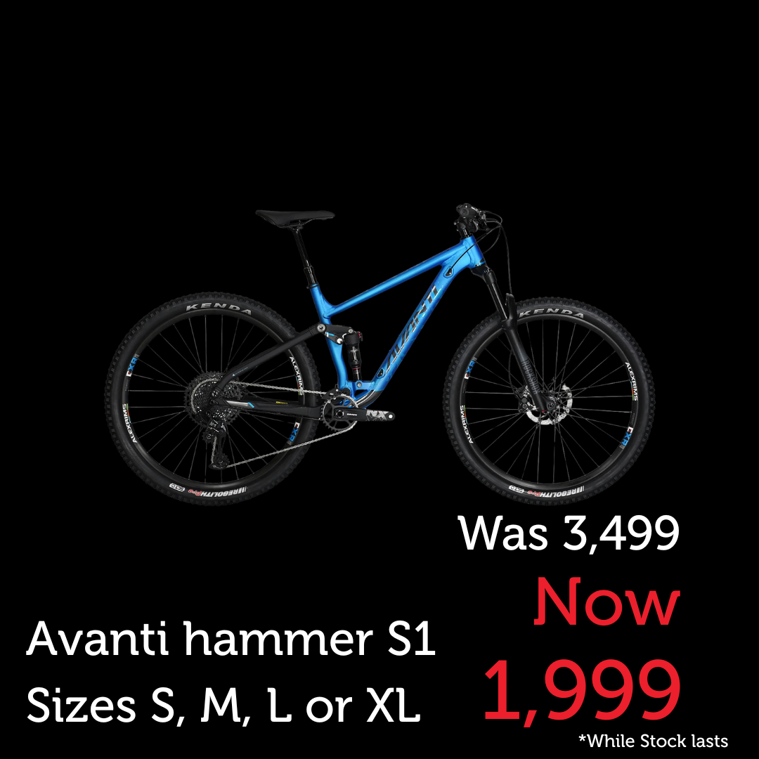 s1 mountainbike Avanti Bike Hammer S1 Blue