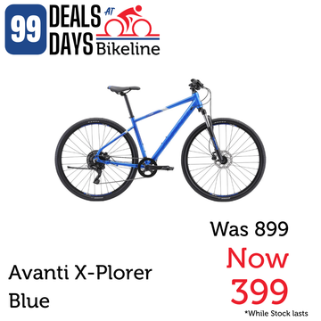 Avanti X-Plorer MS 1
