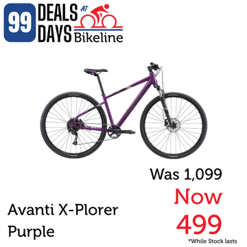 Avanti X-Plorer MS 2W