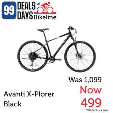 Avanti X-Plorer MS 2