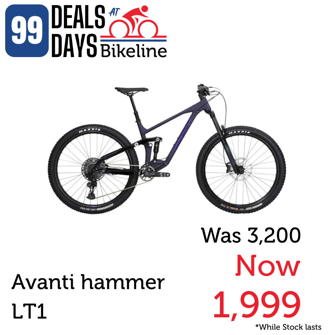 Avanti Bike Hammer LT1 Black - Main Image