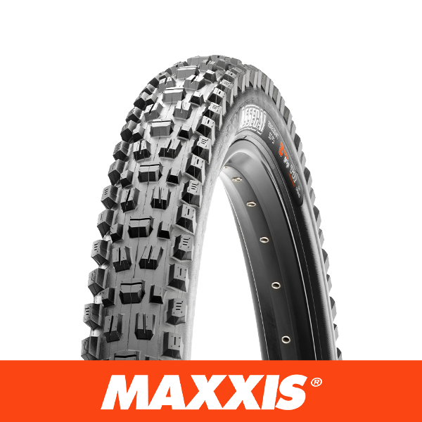 Maxxis assegai 29 hotsell