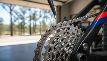 Expert Mountain Bike Cleaning and Lubrication Tips for a Flawless Ride