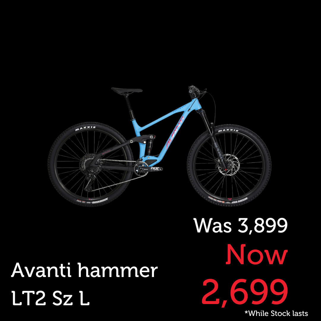 Avanti Bike Hammer LT2 Blue