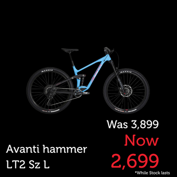 Avanti Bike Hammer LT2 Blue