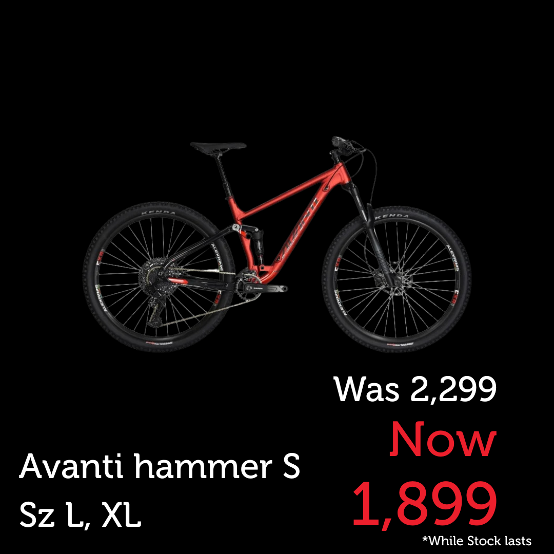 Avanti Bike Hammer S Red