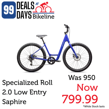 Specialized Roll 2.0 Low Entry