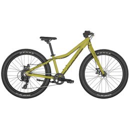 Scott roxter hot sale 24 2019