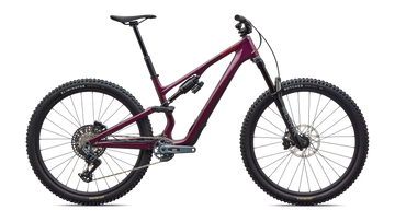 Specialized Stumpjumper 15 Evo Expert
