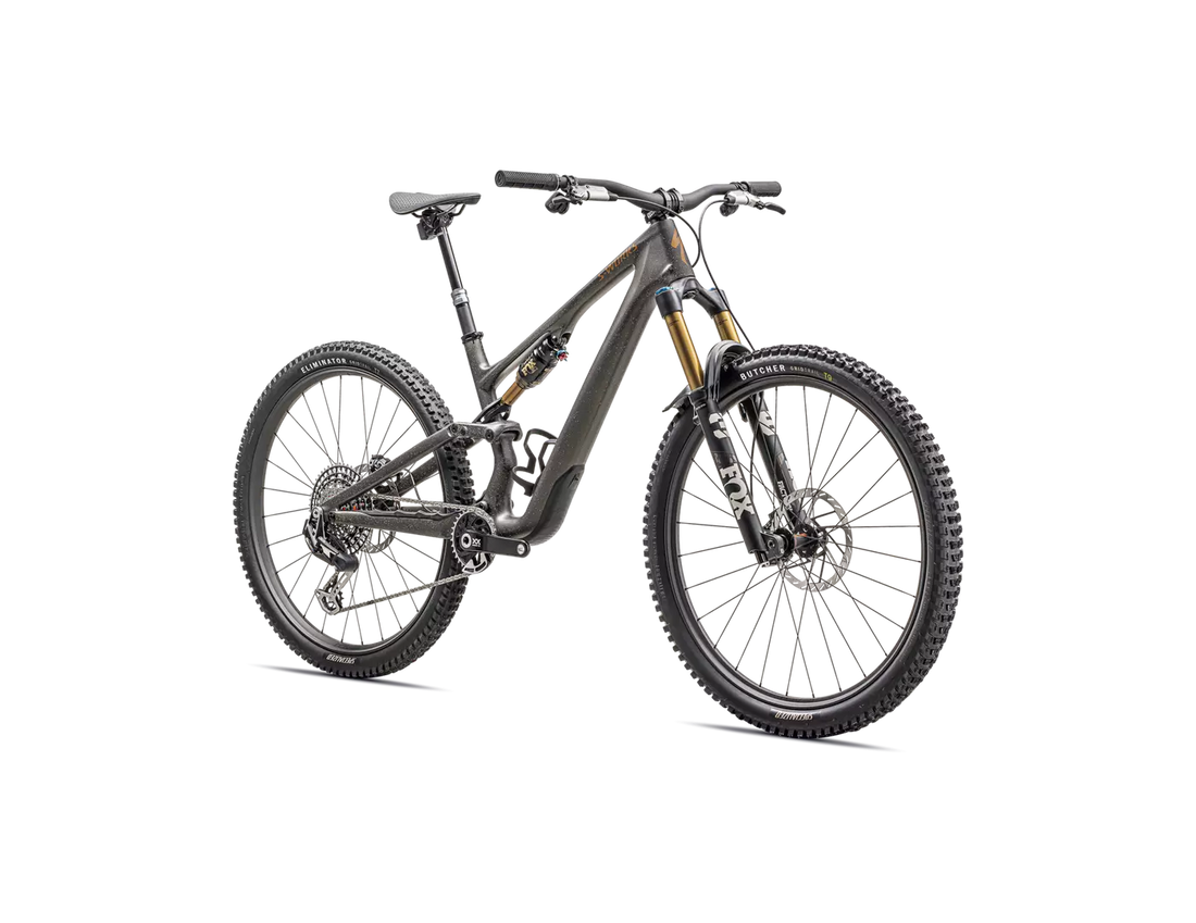 Specialized S-Works Stumpjumper 15