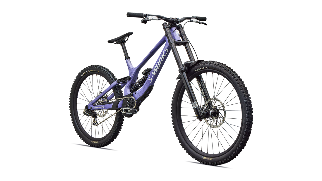 Specialized S-Works Demo 11