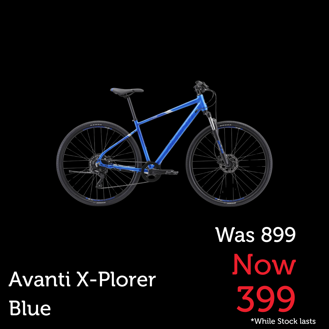 Avanti X-Plorer MS 1