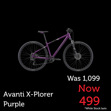 Avanti X-Plorer MS 2W