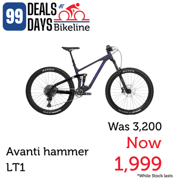 Avanti Bike Hammer LT1 Black