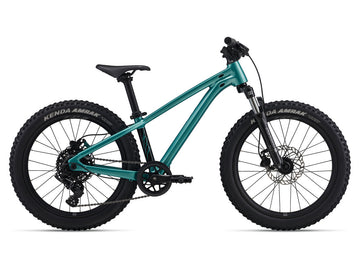 MY26 Giant STP 20 FS
