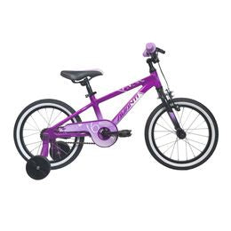 Avanti Bike Spice 16